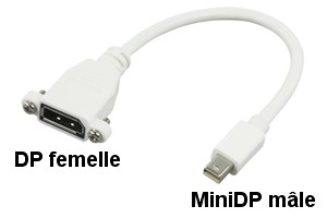 Adaptateur DisplayPort - 120325